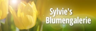 Sylvie's Blumengalerie